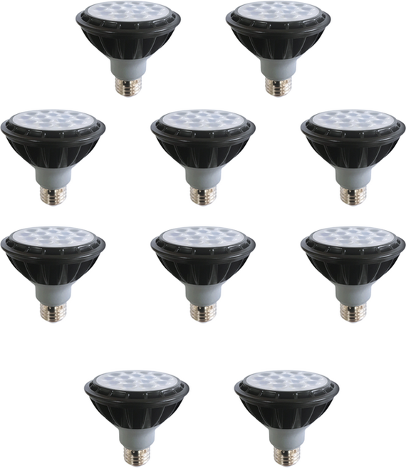 데이온 파30 LED 15W 집중형, 주광색, 10개