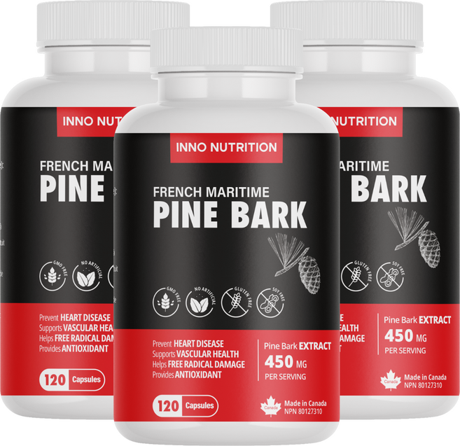 파인바크 프랑스해송 소나무껍질 추출물 120캡슐 프로안토시아니딘, 120정, 3개