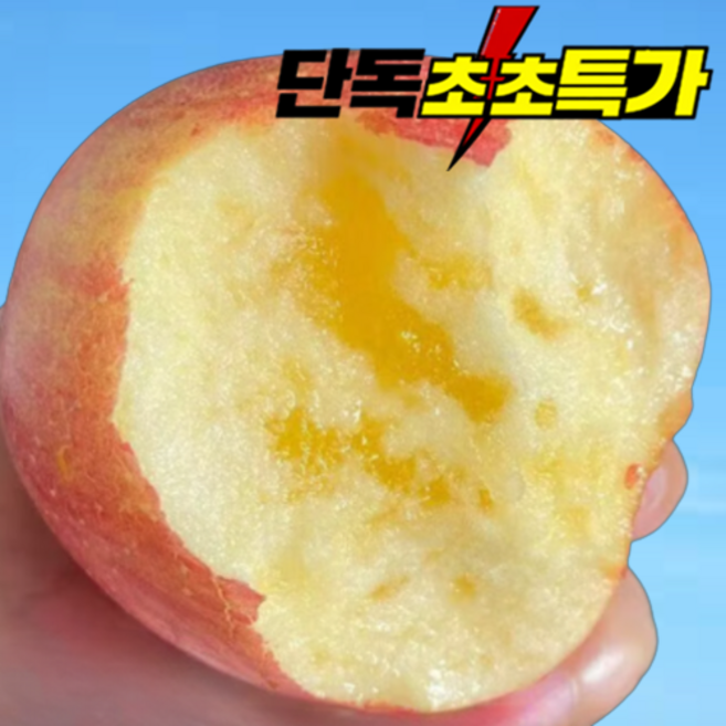 [민생안정특가] 300박스한정 고당도 부사 청송사과, 1개, 5kg