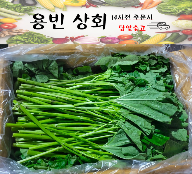 ( 용빈 상회 ) 국내산 아욱 1kg내외 4kg내외, 1박스, 1kg