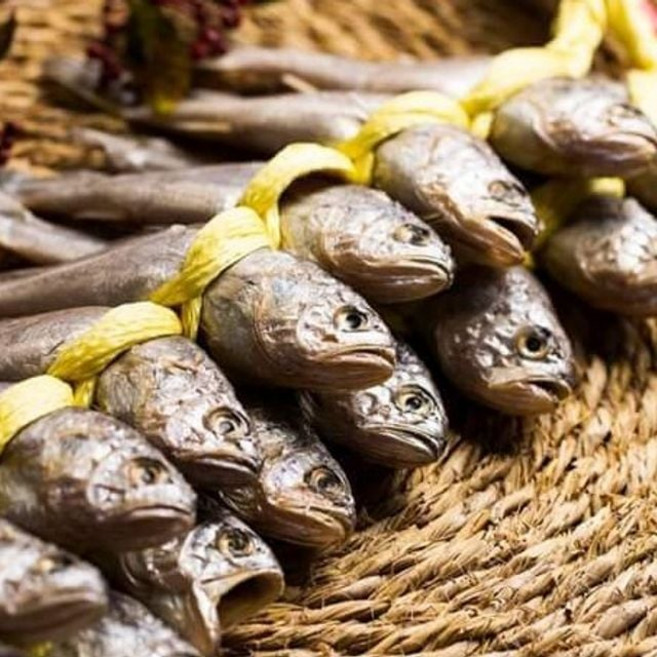 영광굴비 선물세트 20미 중 ggu+211Sv, 영광굴비 20미 (중)