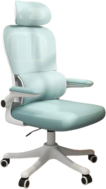 辦公椅 書桌椅 電競椅 頭枕電腦椅 護脊電腦椅 1322, 多功能升降電腦椅808--白架藍色網