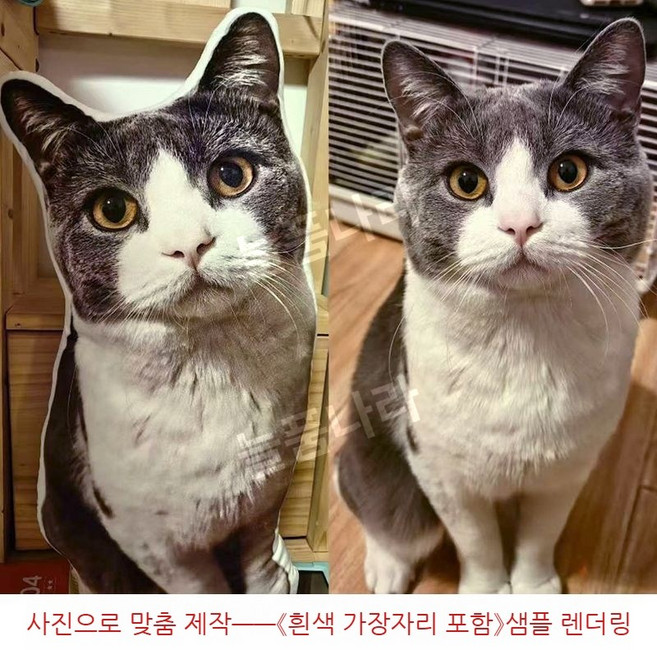 DIY 사진 맞춤 베개 반려동물 인형 쿠션 34~58cm, 맞춤화-흰색 가장자리 포함