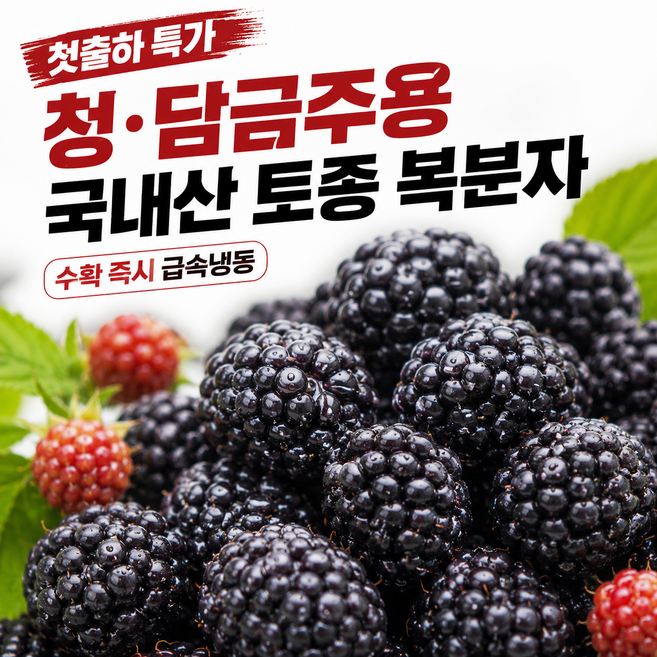 [첫출하 특가]청담금주용 국내산 고창 토종복분자 냉동생과 특품, 1박스, 2.5kg