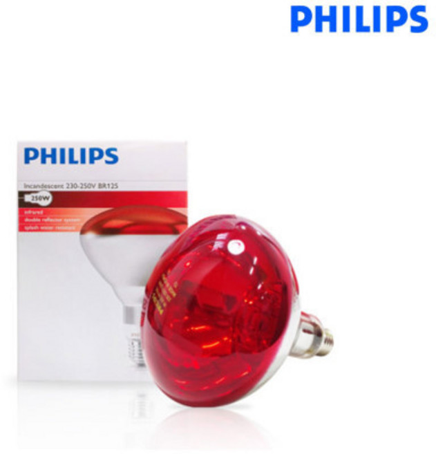 필립스 적외선 램프 250W, 필립스 적외선램프 250W, 1개
