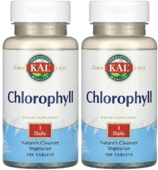 칼 엽록소 클로로필 20mg 100정 2개 크로로필린 Chlorophll, 100정 2병 - 쿠팡