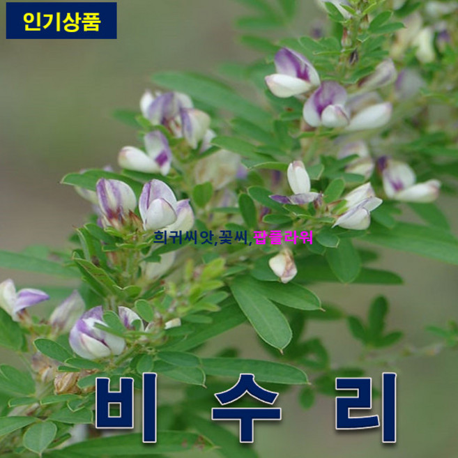 비수리 500g(야관문) 토사방지및 사방공사용 풀씨와 혼합하여 뿌리면, 1개