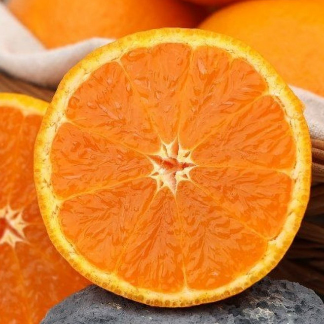 [오늘만특가] 과즙폭발 초고당도 제주 카라향, 1박스, 2kg