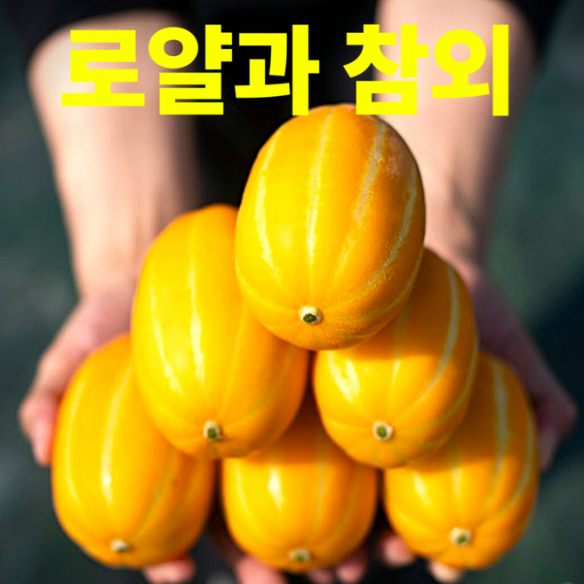 3다이 정품 로얄과 성주 참외, 1박스, 5kg 로얄과(14~20입)