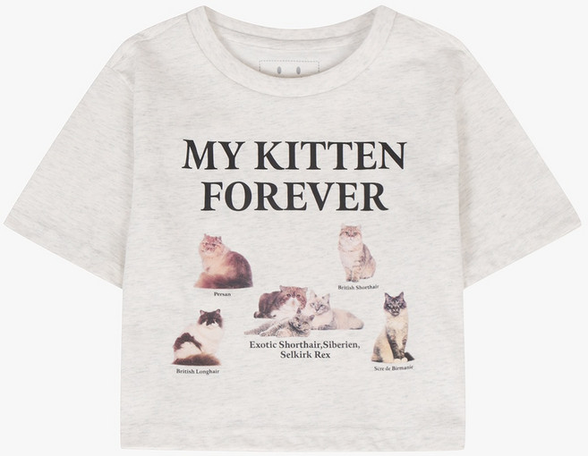 더데이걸 뉴 그래픽 크롭 티셔츠 TGRP25305