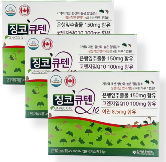 징코 큐텐 은행잎추출물 코엔자임q10 3box, 3개, 120정