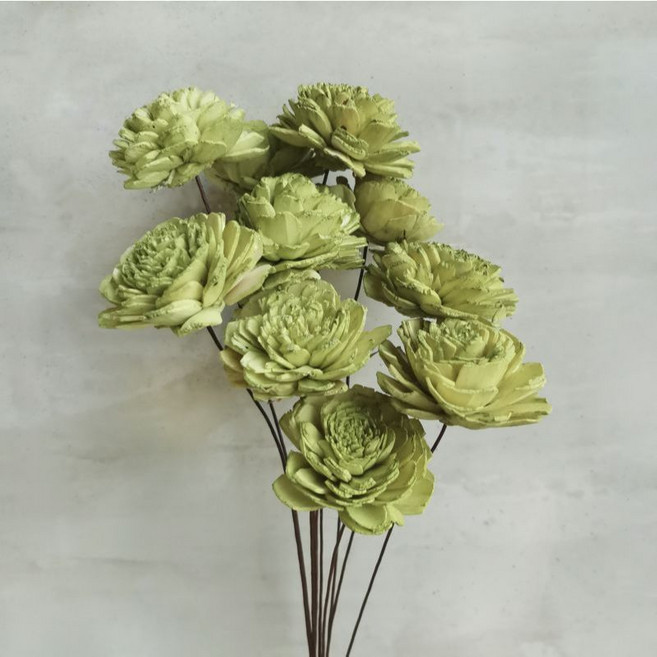 索拉花 太陽玫瑰擴香花, 1個, 蘋果綠單支