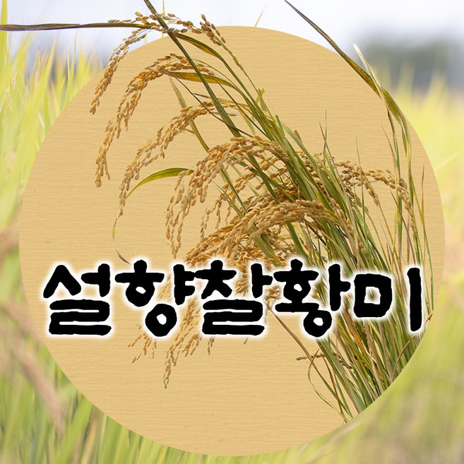 24년산 설향찰황미(5분도) 2kg /쌀눈쌀 찹쌀 즉석도정, 1개