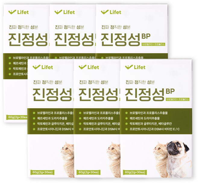 진정성 호흡기 영양제 강아지 고양이 기침 감기 기관지 협착증 거위소리, 6개, 호흡기/기관지, 30회분