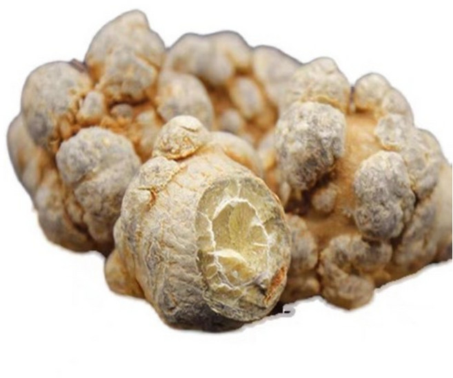 OKYAIOS 중국 운남 삼칠 전칠삼 삼칠근 한방재료 500g(30두), 500g, 1개