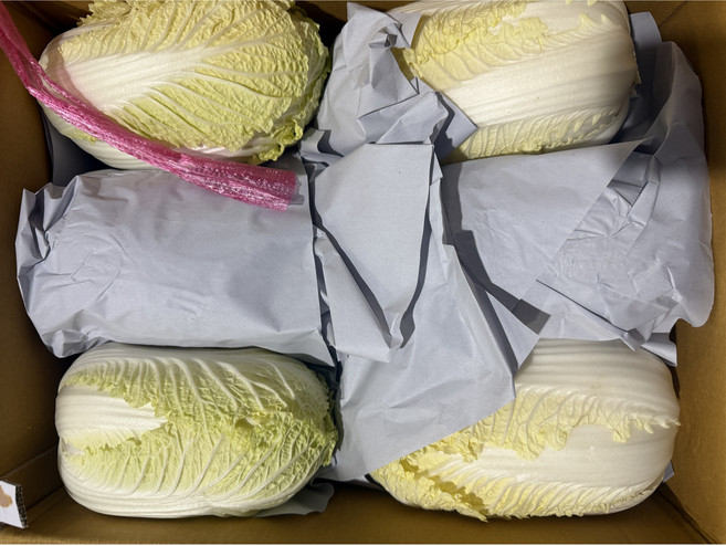 [도매가격]알배추 알배기배추 쌈배추 12포기, 1박스, 8kg