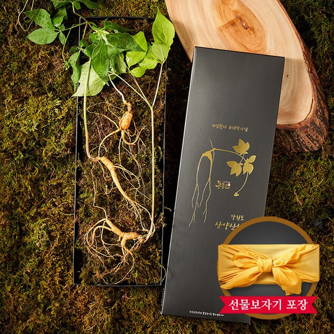 [명가천삼] 1+1 강원도 토종 산양삼 산양산삼 선물세트 5~6년근 (3뿌리)x2세트, 1개