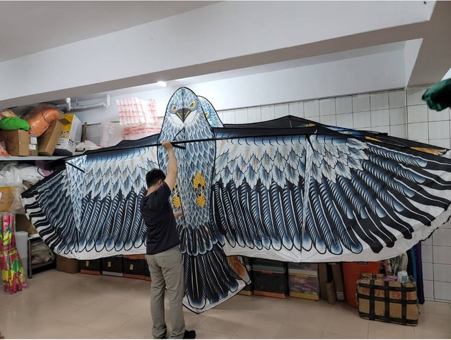 【風箏小舖】6米 巨型老鷹風箏, 26cm 白鐵大靜音 網狀輪 軸承手輪