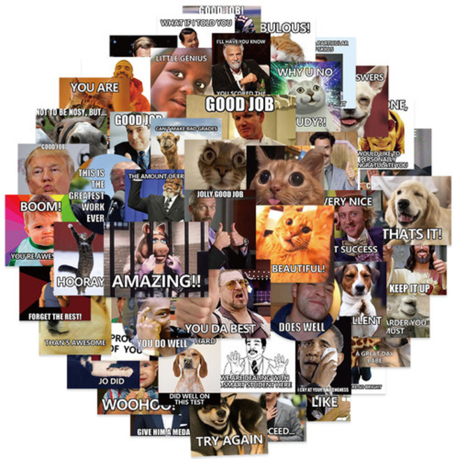 웃긴 동물 고양이 짤 재미있는 밈 영문 문구 미국 코믹 tv쇼 방수 스티커 1세트 50장