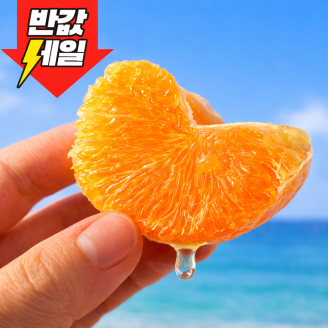 [하루30박스한정] 농장직송 최대17brix 새콤달콤 제주카라향, 1개, 5kg