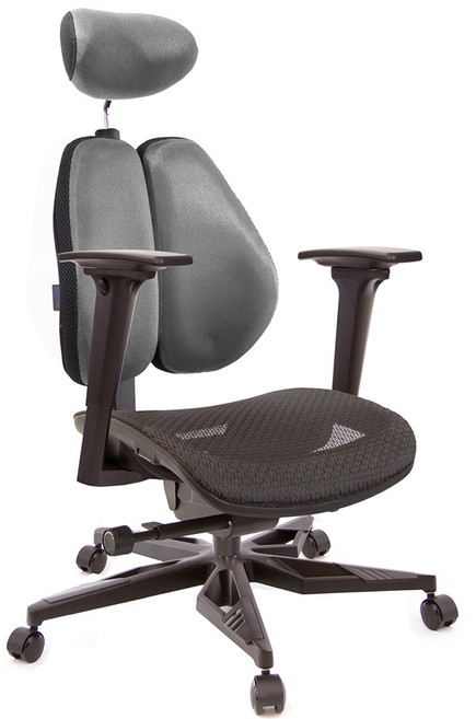 GXG 高雙背工學電腦椅 型號3076, 金屬銀色