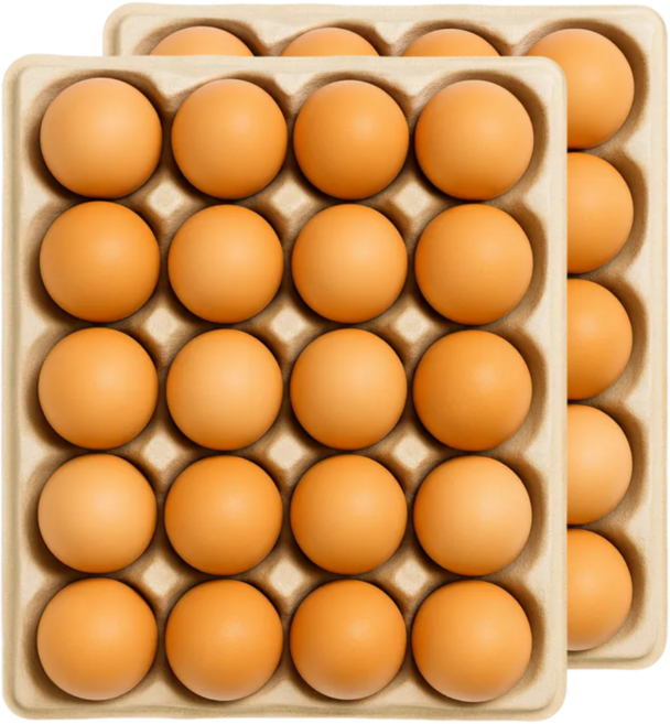 난각번호1번 계란 유정란 난각1번 HACCP 무항생제 달걀, 1개, 40구