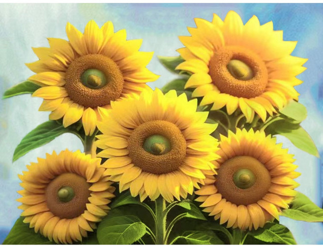 대진 보석십자수 43x53 사이즈 대형 금전운 보석 십자수, 해바라기농장, 1개