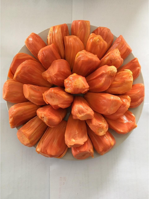 FROZEN RED JACKFRUIT(냉동빨강 잭플룻)300G/1PACK, 1개, 300G