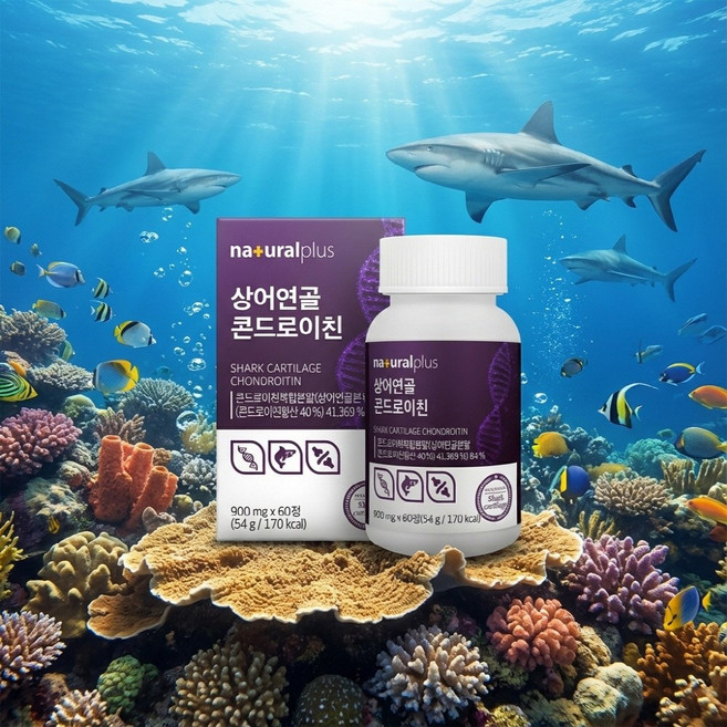 미국산상어연골분말 콘드로이친 60정 해조칼슘 생선콜라겐 초록입홍합분말 비타민D, 1개