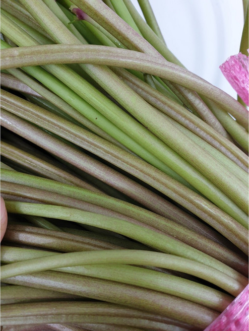 국산 고구마줄기 고구마순, 1kg