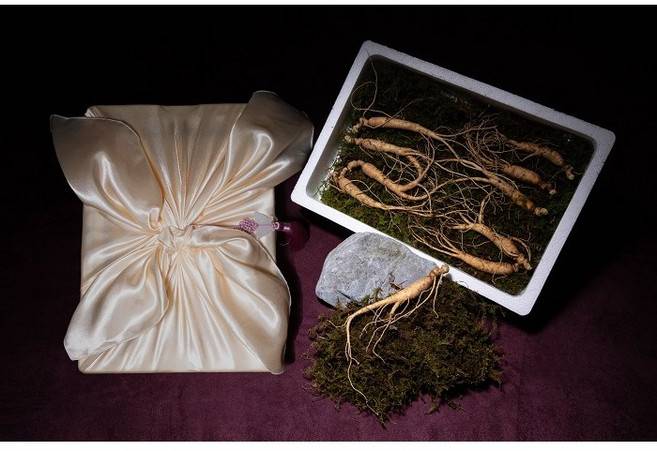 [고급포장]무농약 한국야생산양삼 10년근 10뿌리 강원도 평창 800미터 고지대 뿌리까지 살아있는 산양삼 설 선물세트 백세자연산삼, 1개