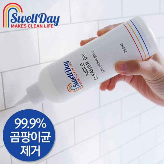 스웰데이 곰팡이제거제 250ml 5개 홈스웰