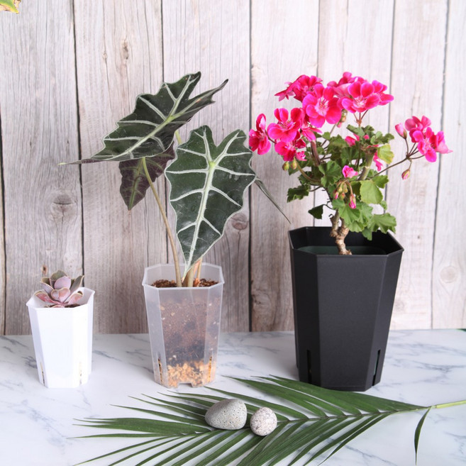 세경팜 팔각 롱 슬릿화분 삽목 플라스틱 화분, 누드화이트, 5개