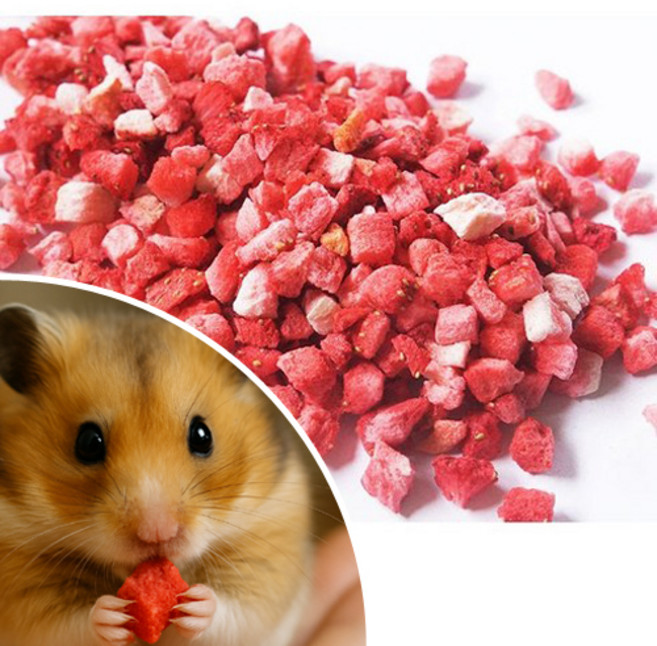 동결건조 딸기다이스 햄스터 간식, 단품, 1개, 5g