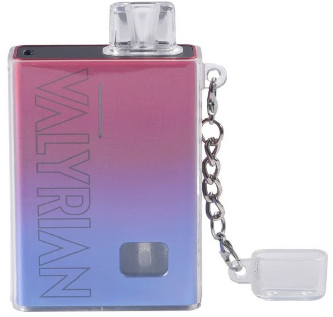 레더크레프트 유웰 발라리안R 전용 TPU투명케이스 위생캡덮개포함, 1개, 발라리안R 투명케이스