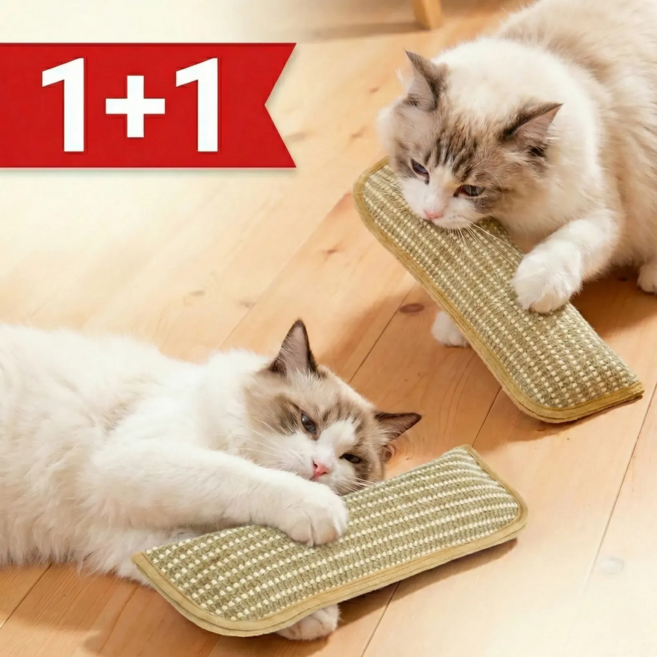 가온루트 1+1 스크래처 베개 고양이 장난감 캣닢 쿠션, 1세트, 혼합