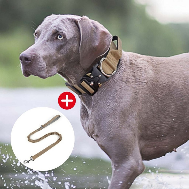 거와스 대형견 중형견 핸들링 목줄 리드줄 세트, 베이지, 1개