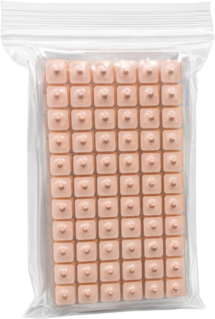 하루테라피 혈자리 귀 지압 패치 경락 붙이는 지압 이침 귀침 600매, 내츄럴, 1개