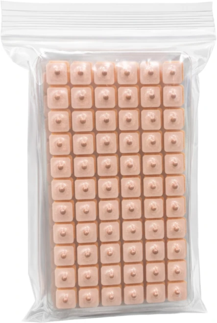 하루테라피 혈자리 귀 지압 패치 경락 붙이는 지압 이침 귀침 600매, 내츄럴, 1개 - 쿠팡