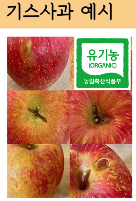 유기농사과 흠과 기스과 쥬스용 못난이, 1박스, 5kg