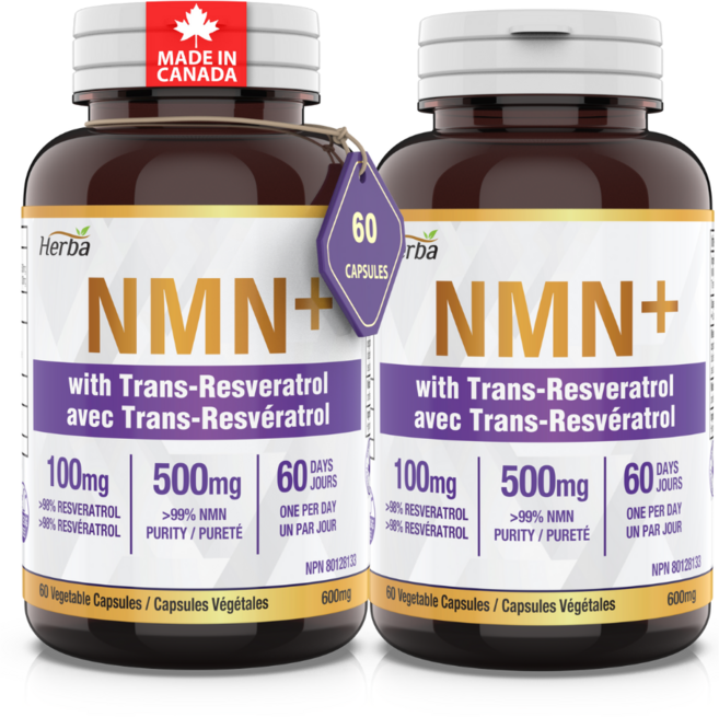NMN 500mg 60식물성캡슐 트렌스 레스베라트롤 100mg 함유 허바캐나다, 2개, 60정