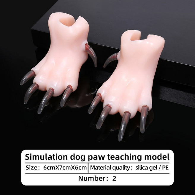 반려 동물 용품 실리콘 시뮬레이션 개 발 교육 모델 애완 미용 학교 주니어 미용사 손톱 자르기 연습, 1개, a pair