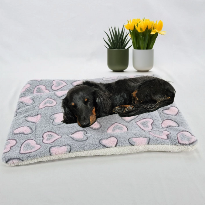 마코다 강아지 양면 두툼 담요 고양이 두꺼운 애착 이불 패드, 1개, 그레이