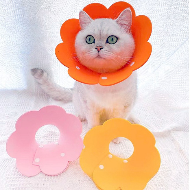 펫다움 반려동물 넥카라 강아지 고양이 중성화 피부상처보호 목쿠션, 핑크A003, 1개