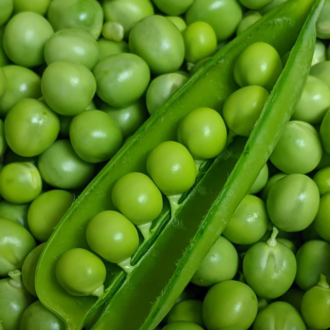 [26년첫!출시] 단백질폭탄 국내산 껍질 생 완두콩, 1박스, 1kg - 쿠팡