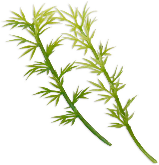 세남자바스켓 마리모 장식 피규어-대나무 2쪽, 1개