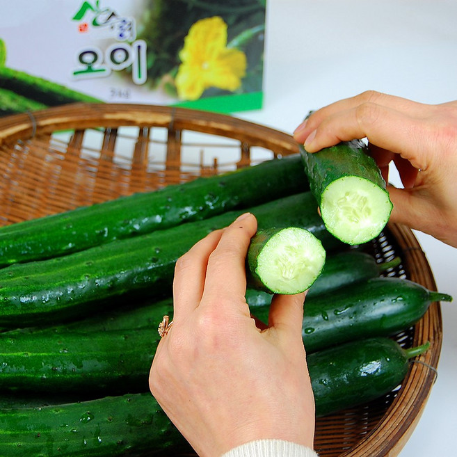 전남구례 명품 취청오이 게르마늄 청오이 구례오이 특품 산지직송, 1박스, 5kg(23개내외), 구례 취청오이