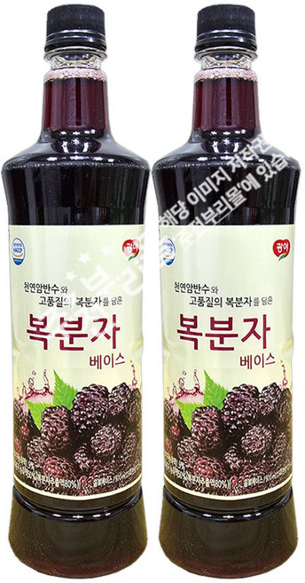 광야 늘감사 복분자 베이스 복분자감식초, 970ml, 2개