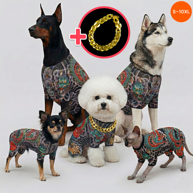 런앤온 반려동물 문신옷 타투 올인원 골드체인 2종 세트, 1개, 개레즈미