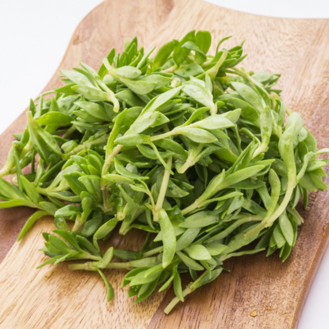 자연가득 봄내음 가득한 아삭한 돌나물 2kg-3kg /참나물 머위 방풍 곰취나물 선택가능, 2kg, 1